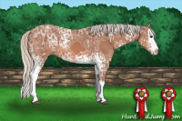 Horse Color:White Spotted Silver Bay Ice Sabino Splash