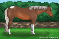 Horse Color:Silver Brown Sabino Tobiano