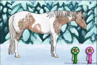 Horse Color:Silver Brown Ice Tobiano 