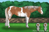 Horse Color:White Spotted Silver Bay Splash Tobiano
