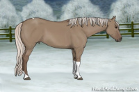 Horse Color:Silver Grullo Tobiano