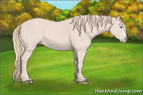 Horse Color: Smoky Creme 