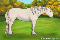Horse Color:Smoky Creme 