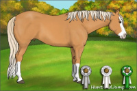 Horse Color:Chocolate Palomino Splash