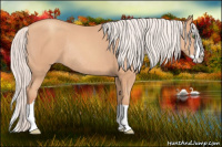 Horse Color:Silver Classic Champagne Splash Rabicano 