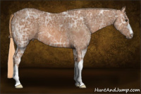 Horse Color:Chestnut Ice 