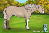 Horse Color:Silver Bay Dun