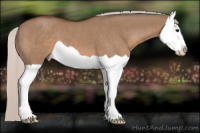 Horse Color:Silver Brown Dun Splash 