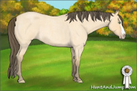Horse Color:Amber Cream Champagne Roan Dun Sabino Splash 
