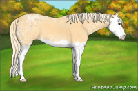Horse Color:Palomino Ice Sabino Splash