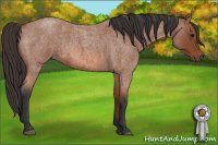 Horse Color:Bay Roan Rabicano 