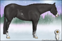 Horse Color:Smoky Black Sabino
