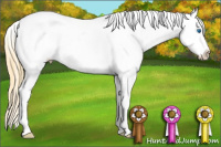 Horse Color:Buckskin Dun Sabino Splash Tobiano Blanket 