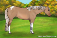 Horse Color:Silver Bay Dun Tobiano 
