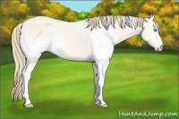 Horse Color:White Spotted Perlino Dun 