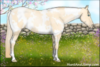 Horse Color:White Spotted Buckskin Pearl 