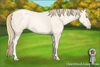 Horse Color:White Spotted Smoky Grullo Pearl