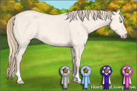 Horse Color:Perlino Dun 