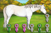 Horse Color:White Spotted Perlino Dun Splash 