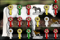 Horse Color:White Spotted Perlino Dun Splash 