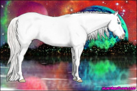 Horse Color:Cremello Dun Sabino Appaloosa 