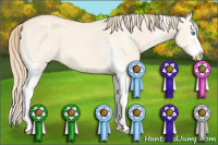 Horse Color:White Spotted Perlino Dun Splash 