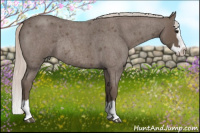Horse Color:Silver Blue Roan Splash Rabicano 