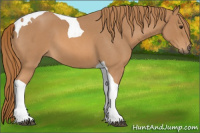 Horse Color:Red Roan Tobiano 