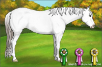 Horse Color:Brown Roan Appaloosa 
