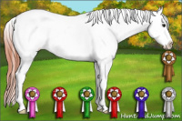Horse Color:Classic Champagne Appaloosa 
