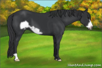 Horse Color:Black Frame
