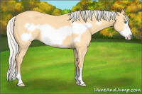 Horse Color:Silver Amber Cream Champagne Roan Frame