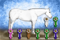 Horse Color:White Spotted Black Splash Appaloosa 