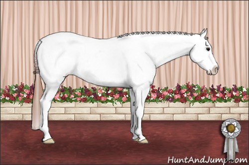 Horse Color: Bay Snowcap 