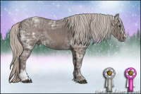Horse Color:Silver Black Ice Sabino 