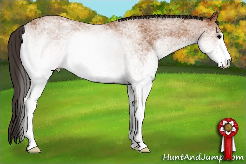 Horse Color: White Spotted Bay 