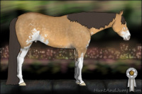 Horse Color:Buckskin Dun Sabino 