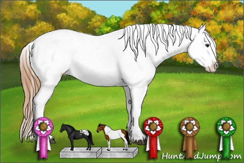 Horse Color: Chestnut Tobiano Blanket 