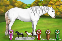 Horse Color:Chestnut Tobiano Blanket 