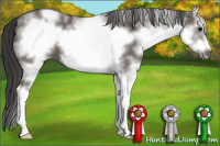 Horse Color:White Spotted Smoky Grullo Splash Frame