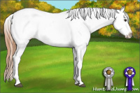 Horse Color:Chestnut Tobiano Blanket 