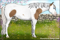 Horse Color:Gray Silver Classic Champagne Roan Splash Tobiano