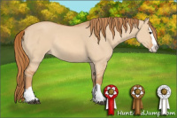 Horse Color:Red Dun Splash Rabicano 
