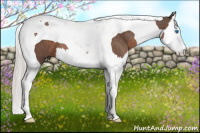 Horse Color:Silver Brown Splash Tobiano 