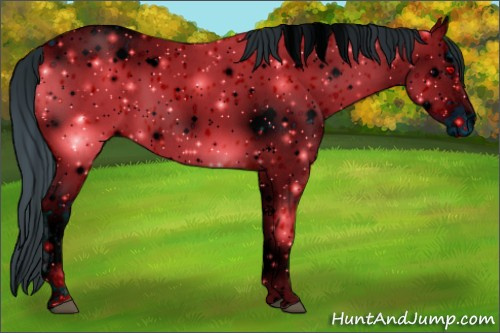 Horse Color: ERROR: UNKNOWN ANOMALY