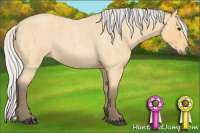 Horse Color:Silver Buckskin Roan 