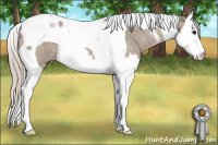 Horse Color:Silver Bay Roan Dun Splash Tobiano 
