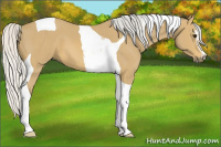 Horse Color:Silver Buckskin Sabino Tobiano