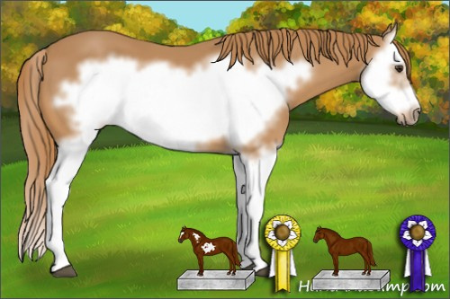 Horse Color: Chestnut Splash Frame 