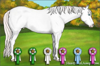 Horse Color:White Spotted Perlino Dun Sabino 